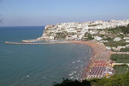 Il Cacciatore